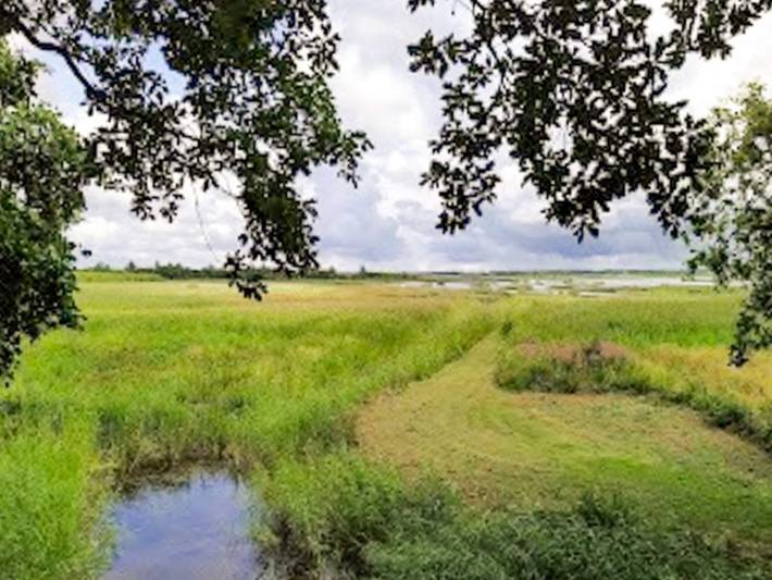Ferienhaus für 18 Personen, mit Terrasse und Pool in Vedersø Klit - 3