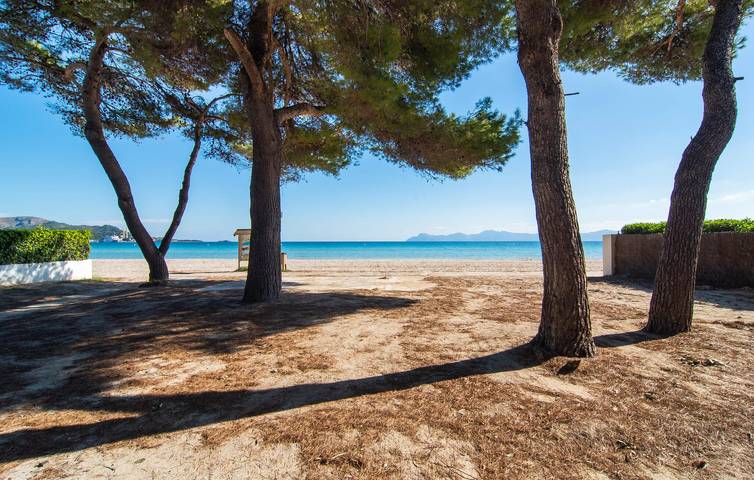 Gemütliches Apartment mit Terrasse in Alcúdia, 200m zum Strand in Playa de Alcúdia, Alcúdia