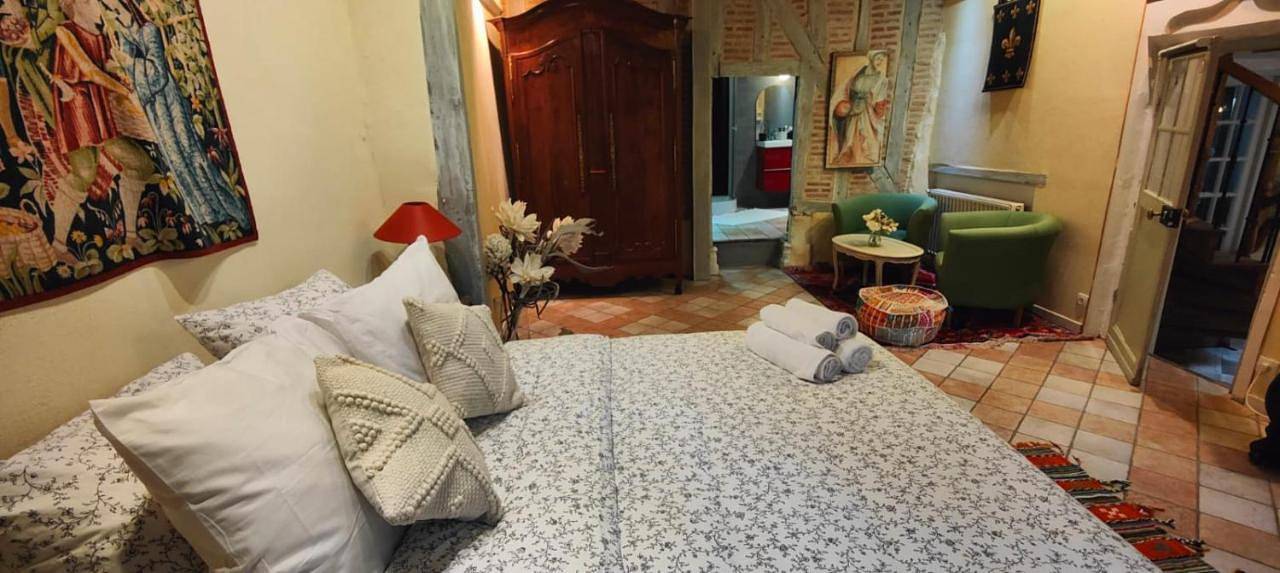 Double Room with Terrace in Amboise, Tours region