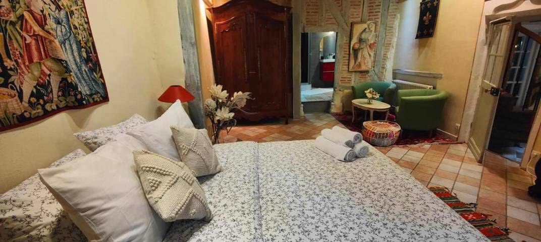 Chambre d’hôte pour 2 personnes, avec jardin et jacuzzi à Amboise - 3