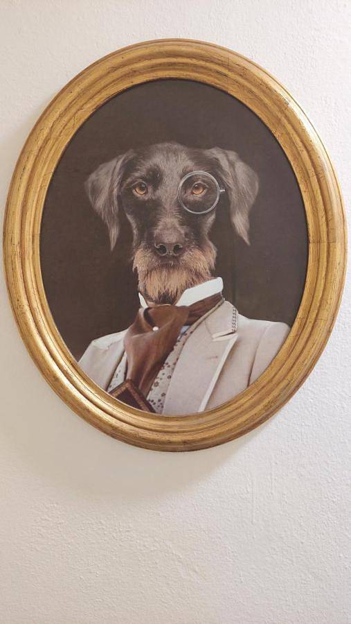 Maison d’hôte pour 2 personnes, avec jardin, animaux acceptés à Pise - 4