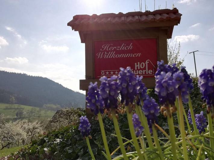 Gîte pour 2 personnes, avec jardin et vue à Seebach (Ortenaukreis) - 2