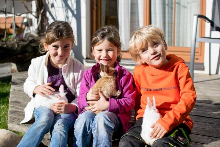 Ferienwohnung für 8 Personen, mit Garten und Pool sowie Ausblick, mit Haustier in Jerzens - 4