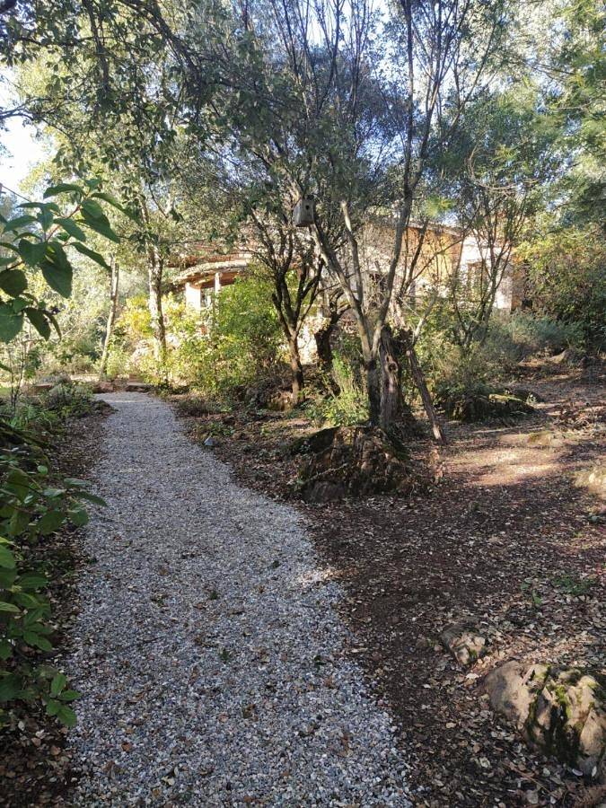 Casa rural para 12 personas, con piscina además de jardín y vistas, Se admiten mascotas en Castaño del Robledo - 2