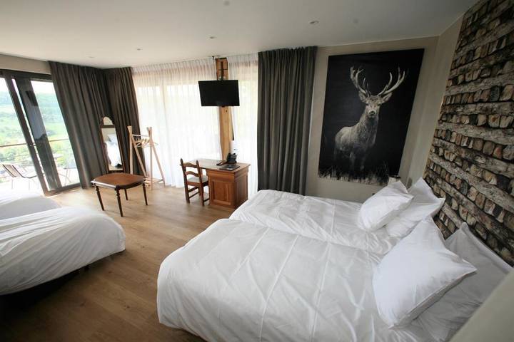 Hôtel pour 2 personnes, avec vue et balcon dans Lustin - 2