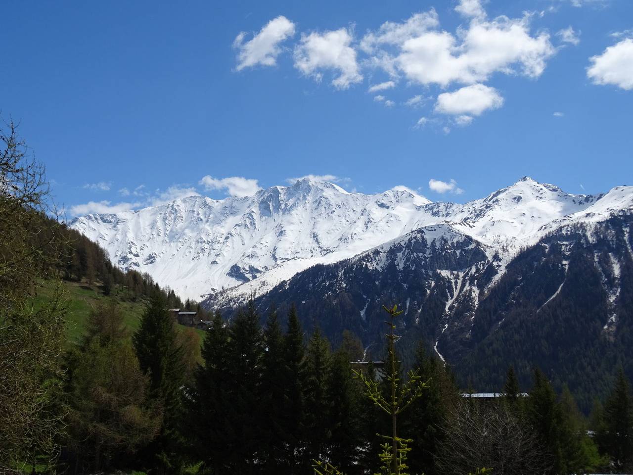 Chalet 8 pers à Plan Peisey, près des pistes, animaux admis in Parc National de la Vanoise