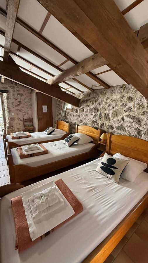 Gîte pour 10 personnes, avec jardin et vue à Bréau-et-Salagosse - 3