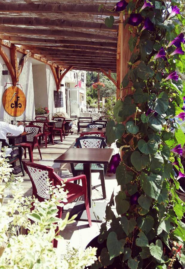 Hôtel pour 3 personnes, avec terrasse et vue, animaux acceptés