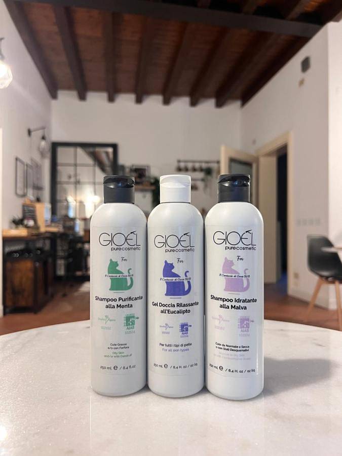 Chambre d’hôte pour 2 personnes, avec balcon à Brescia - 3