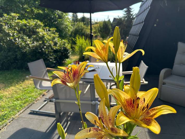 Ferienhaus für 2 Personen, mit Sauna und Terrasse sowie Garten in Lichtenberg (Oberfranken) - 3