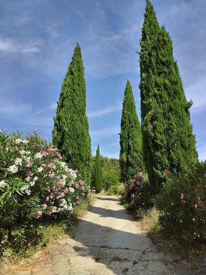 Location de vacances pour 6 personnes, avec piscine ainsi que vue et jardin à Blauzac - 4