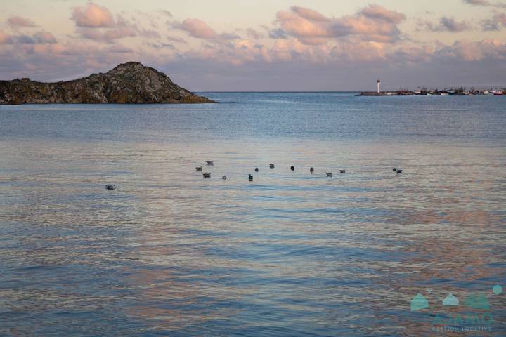 Gîte pour 4 personnes dans Caroual - 2