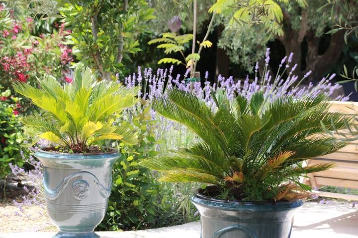 Location de vacances pour 21 personnes, avec jardin ainsi que vue et piscine à Le Pouget - 2