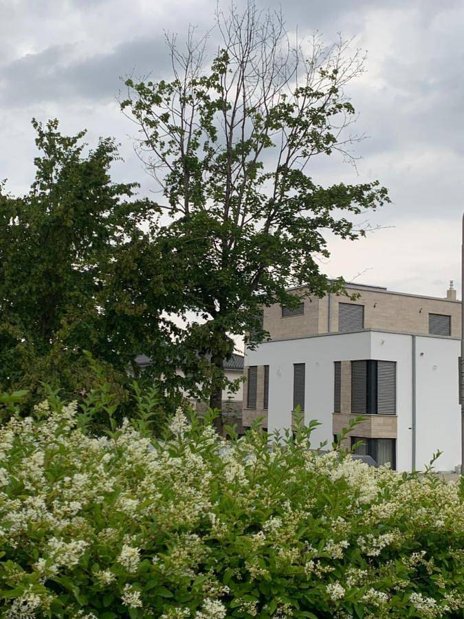 Ganze Wohnung, Mosaikhaus Smart Home in Würselen, Rheinland