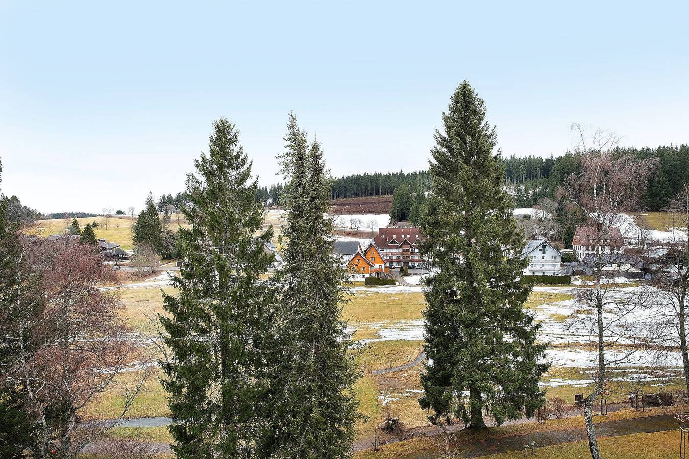 Ganze Wohnung, Apartment 'Quality Time auf 1000 Metern' mit Parkblick, Balkon und Wlan in Schönwald, Südschwarzwald