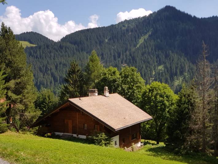 Gîte pour 7 personnes, avec terrasse, animaux acceptés dans Morgins - 4