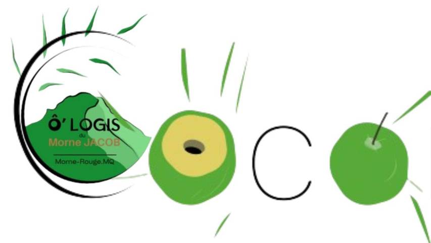 Gîte pour 2 personnes, avec jardin et jacuzzi à Le Morne-Rouge - 2