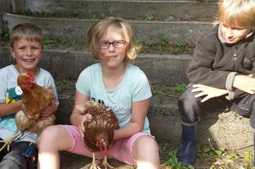 Agriturismo voor 4 Personen in Oberkirch, Central Black Forest, Afbeelding 4