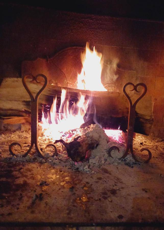 Location de vacances pour 4 personnes, avec terrasse, animaux acceptés à Bosc - 4