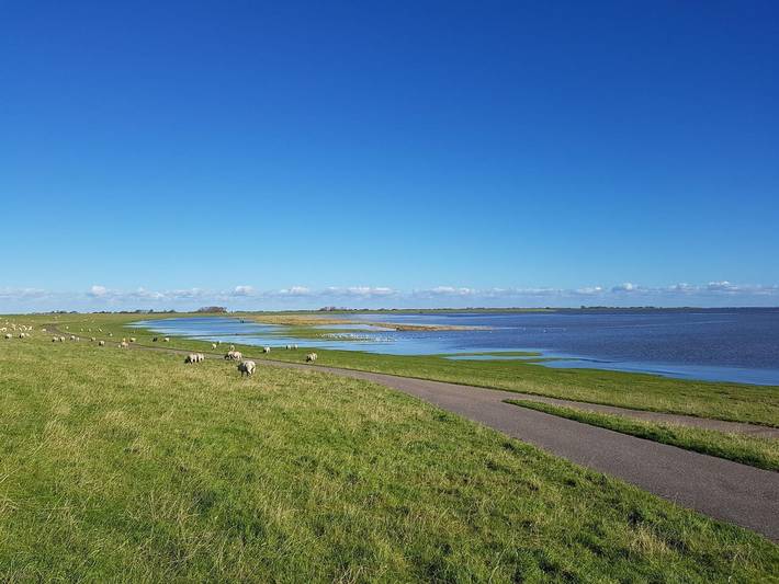 Ganze Ferienwohnung, Haus Karpfenteich in St. Peter-Ording, Eiderstedt