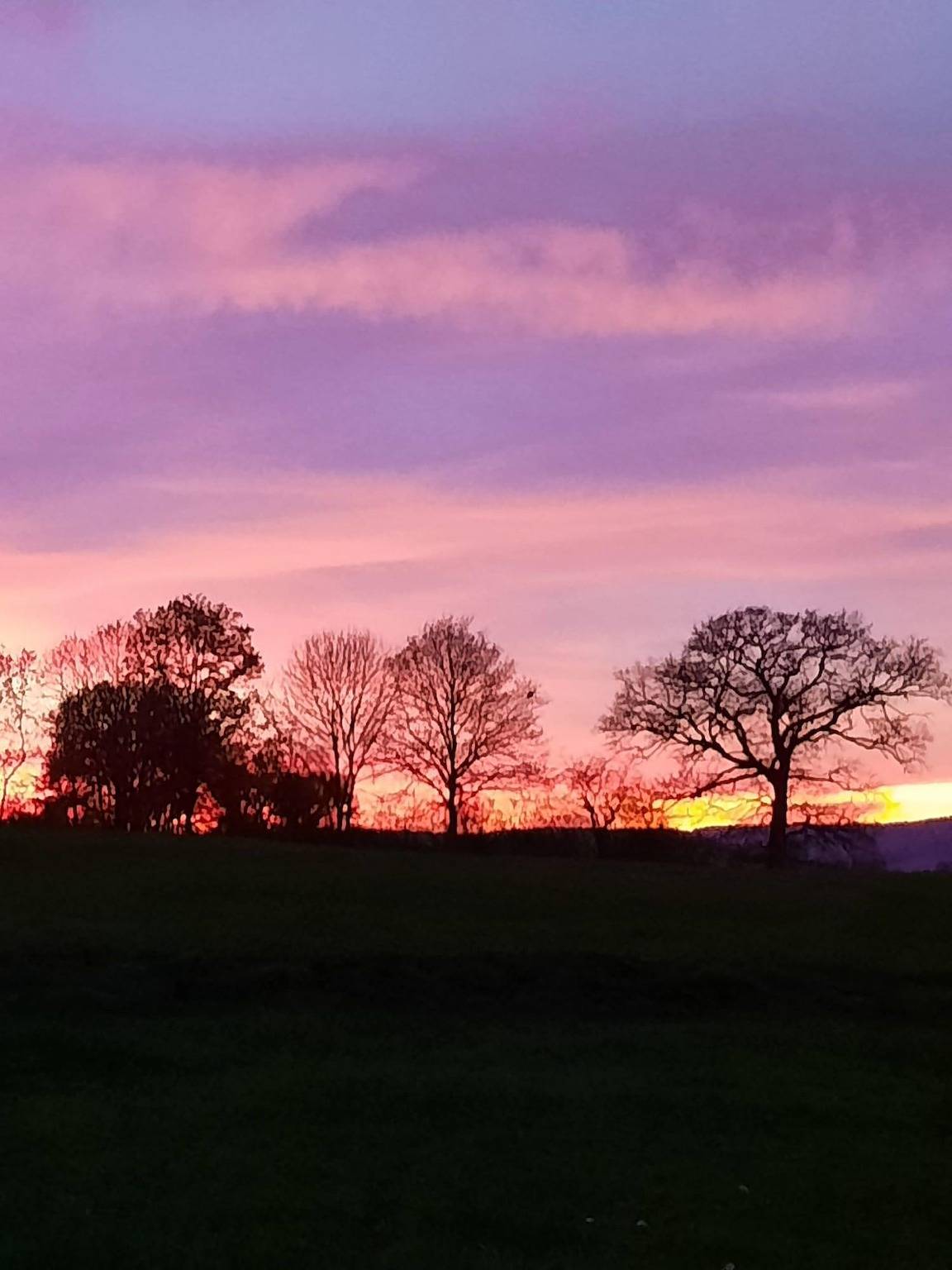 Ganze Ferienwohnung, Appartement/Fewo, Bad, Wc, 1 Schlafraum in Gerolstein, Vulkaneifel