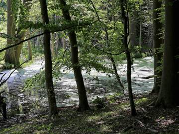 Ferieudlejning til 18 Personer i Lohals, Langeland, Billede 4