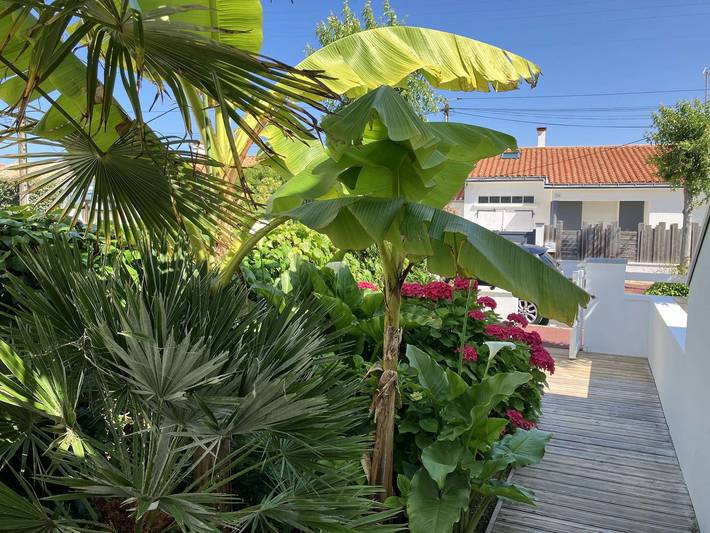 Studio pour 2 personnes, avec terrasse