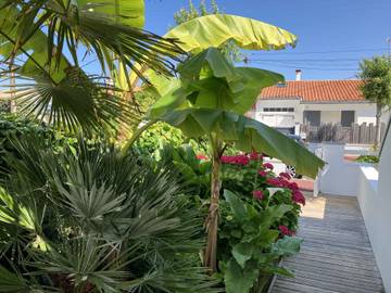 Gîte pour 2 personnes, avec terrasse à Saint-Gilles-Croix-de-Vie