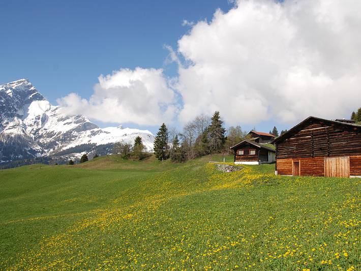 Hütte für 4 Personen, mit Terrasse, kinderfreundlich in der Schweiz - 2