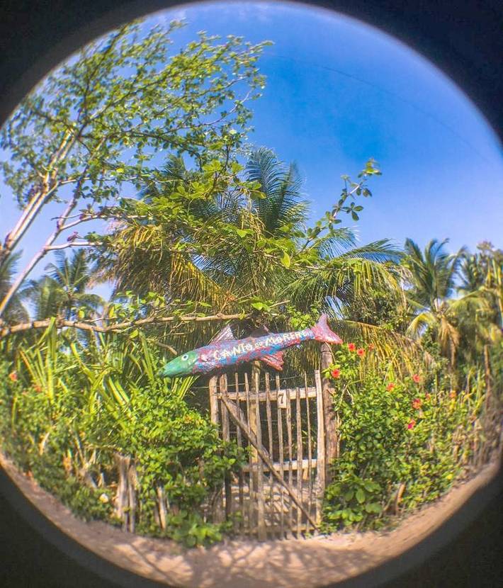 Gîte pour 10 personnes, avec terrasse et jardin, animaux acceptés dans Ilha de Boipeba - 2