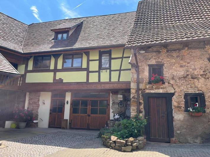 Location de vacances pour 13 personnes, avec jardin et vue, animaux acceptés à Orschwihr - 4