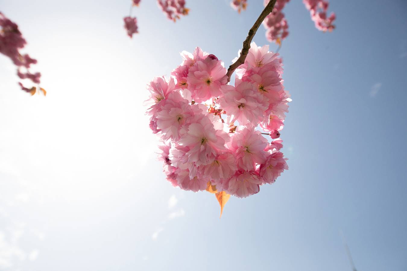 Apartamento vacacional entero, Haus an der Düne Wohnung 2 in Gager, Mönchgut