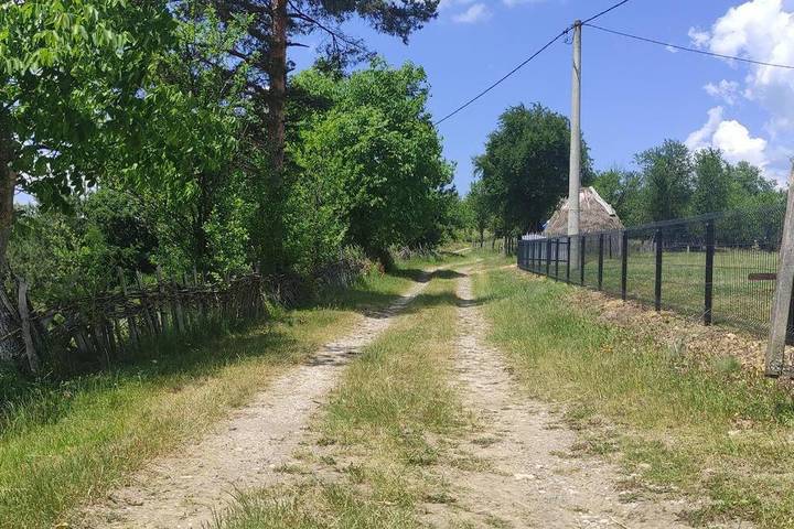 Location de vacances pour 5 personnes, avec jardin, animaux acceptés à Kosjerić - 2