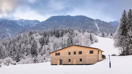 Ferienhaus für 14 Personen, mit Sauna und Garten in Mellau