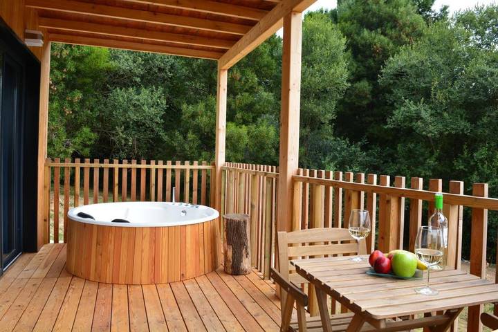Location de vacances pour 3 personnes, avec jardin et vue, animaux acceptés à Saint-Jacques-de-Compostelle - 2