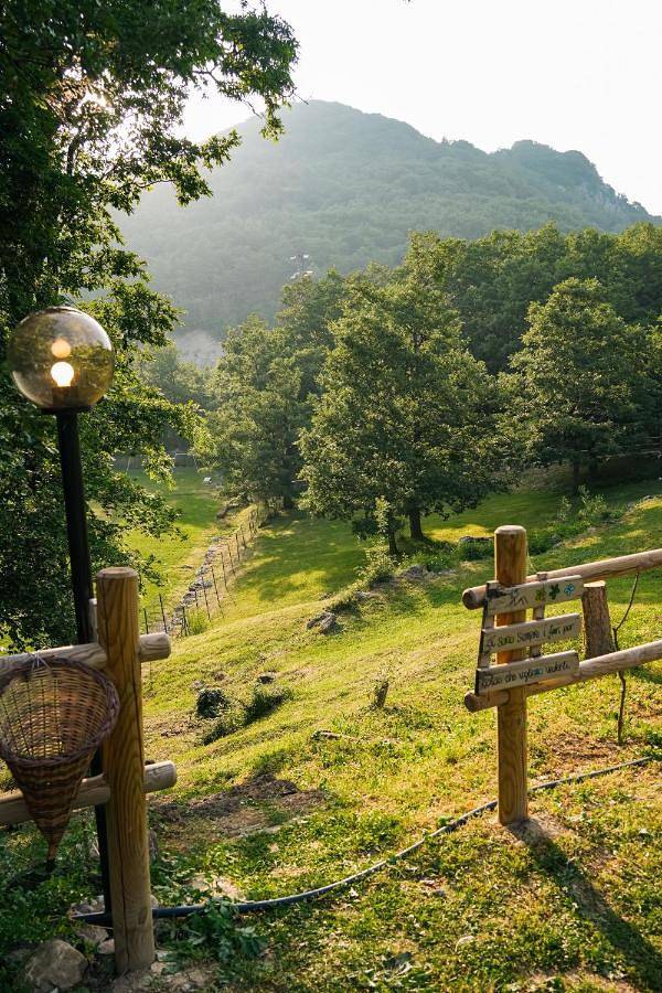 Hotel Rasinus in Roccaraso, Alto Sangro