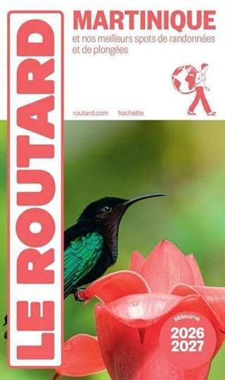 Gîte pour 2 personnes, avec jardin ainsi que vue et terrasse à Le Morne-Rouge - 2