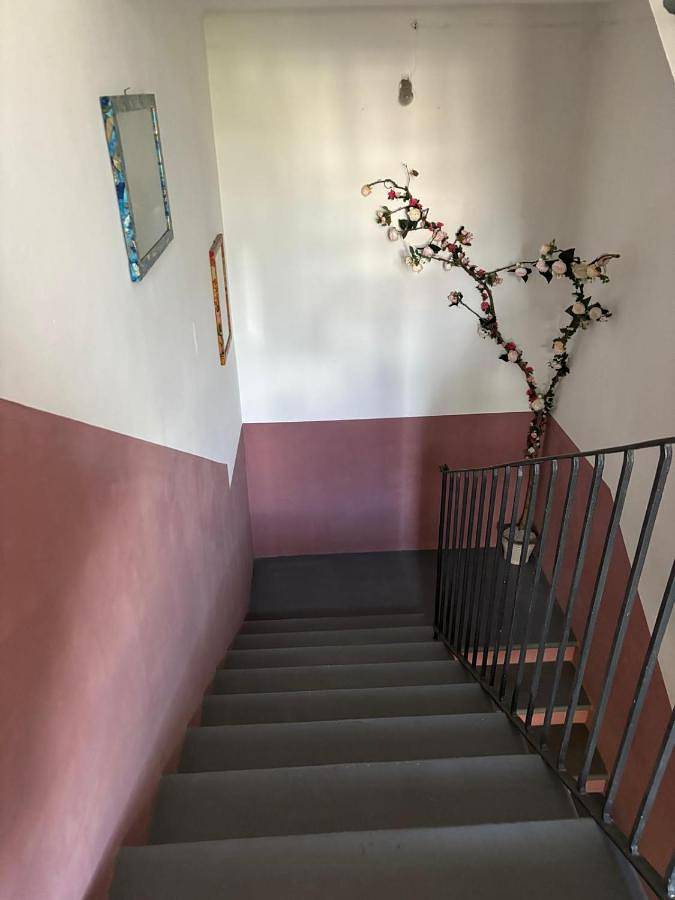 Gîte pour 6 personnes, avec terrasse, animaux acceptés à Arpino - 2