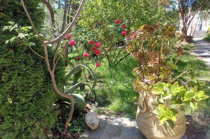 Charming old stone farmhouse between sea and lake mountains in Aléria, Corte und Umgebung