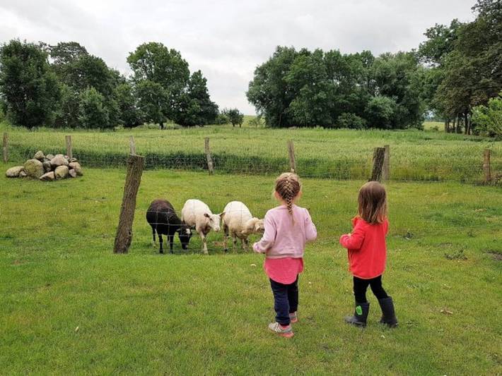 Bauernhof für 6 Personen, mit Garten, kinderfreundlich an der Ostsee Schleswig-Holstein - 4