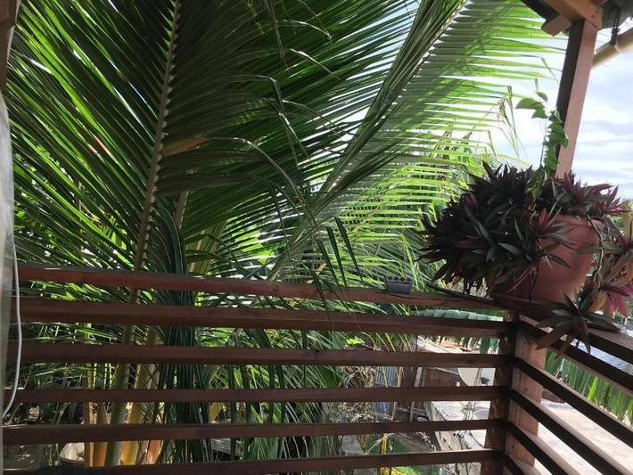 Gîte pour 5 personnes, avec vue et jardin à Koungou - 4