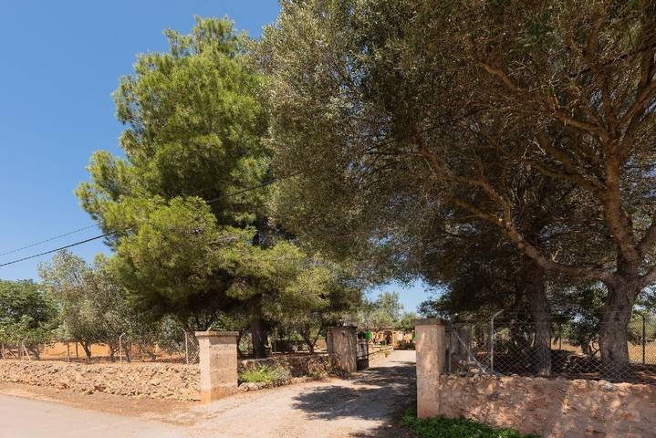 Ferienhaus für 6 Personen, mit Terrasse und Garten in Spanien - 3
