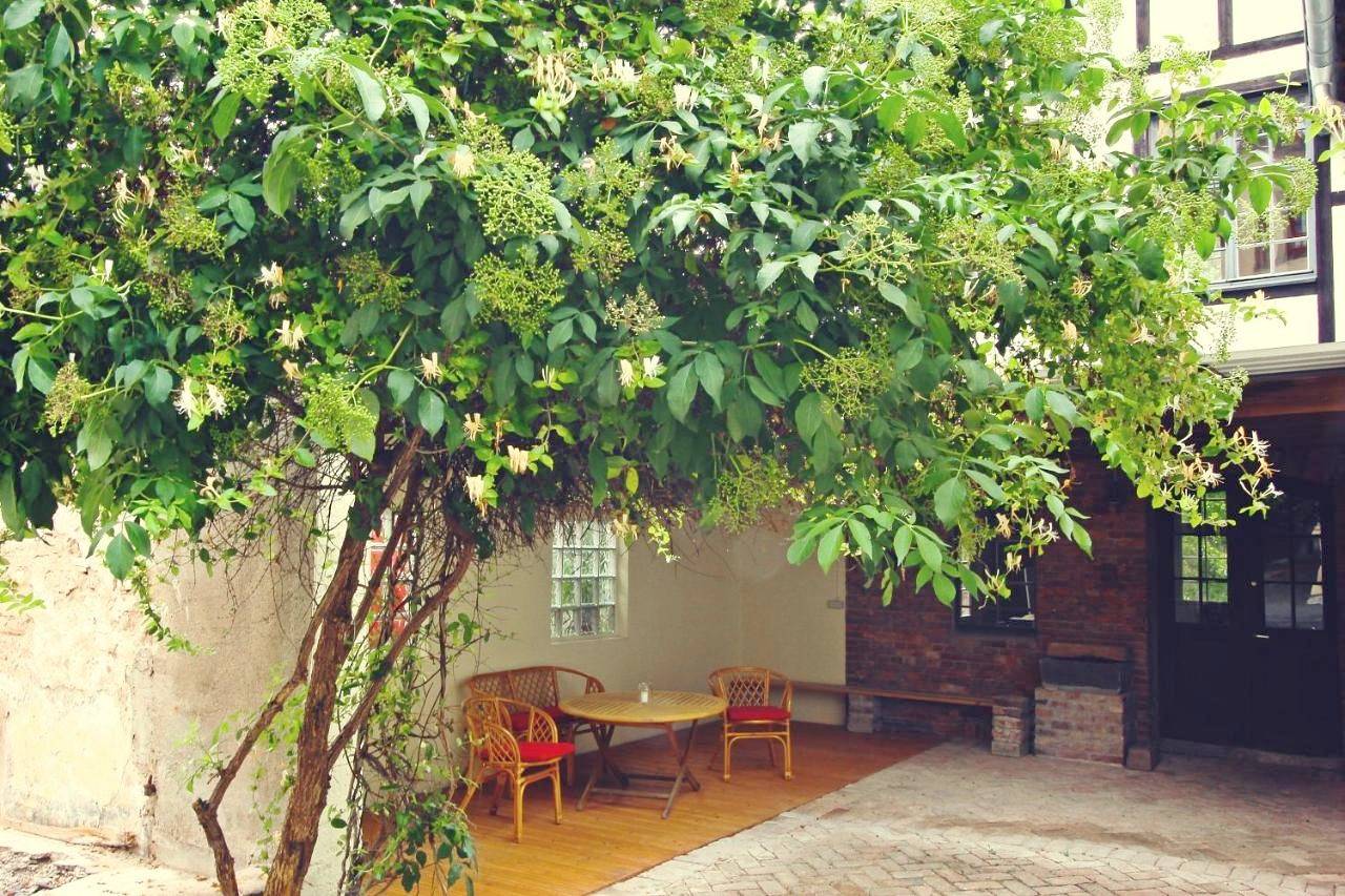 Ferienhaus Atelier in Enkirch, Bernkastel-Kues & Umgebung