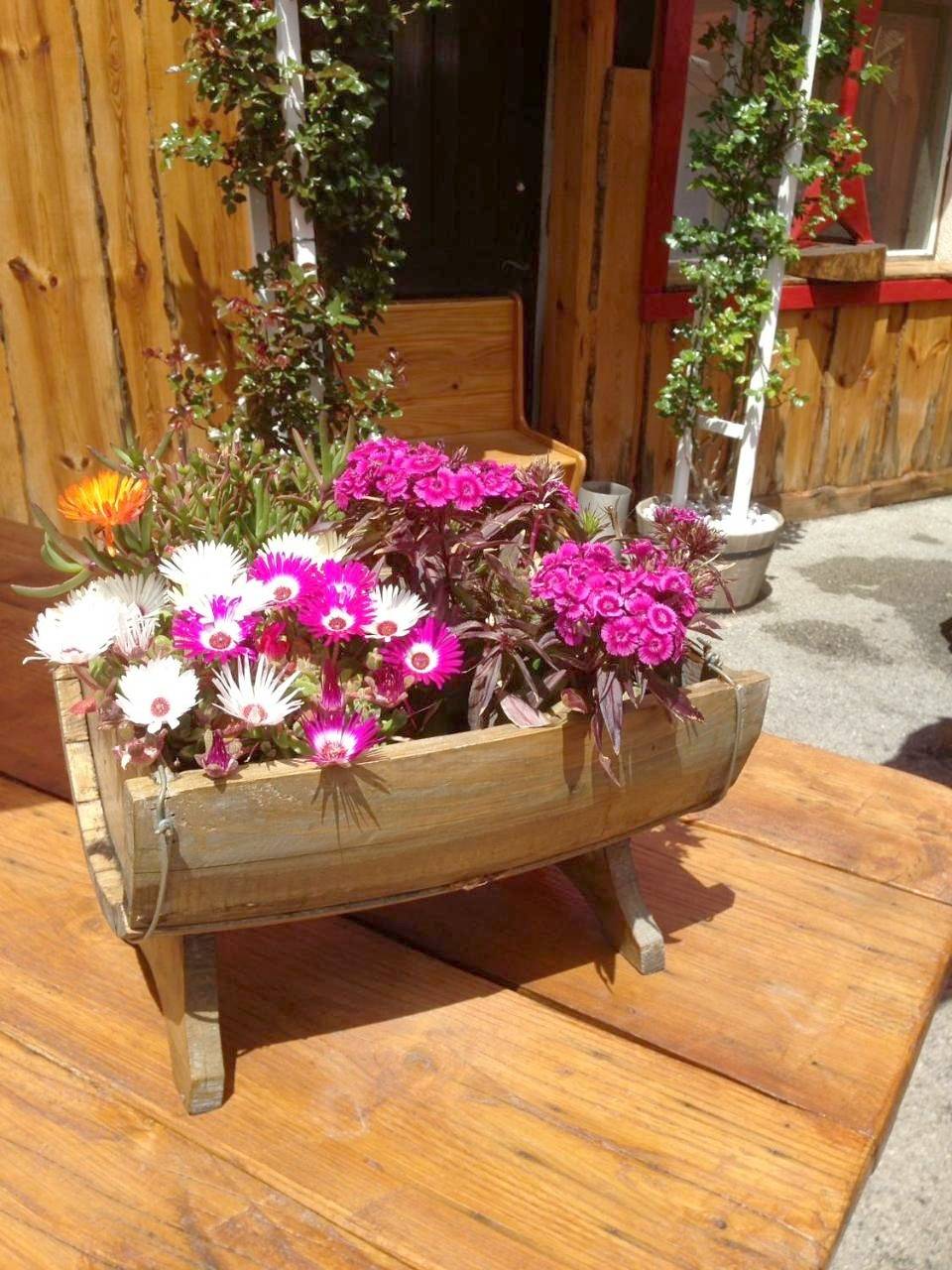 La Godille in Andon, Région de Cannes