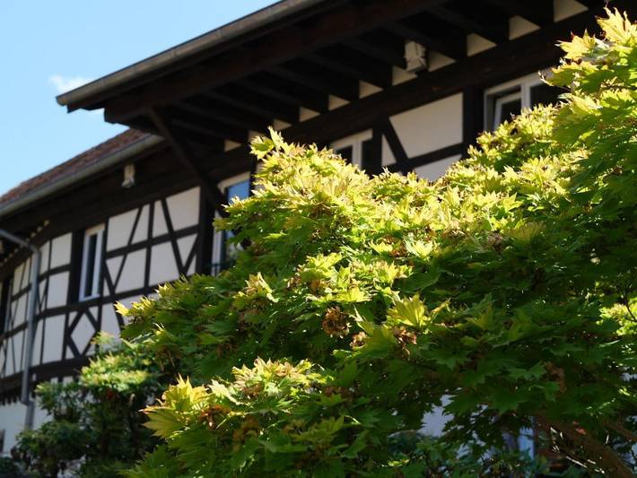 Gîte pour 5 personnes, avec jacuzzi ainsi que terrasse et jardin dans Gougenheim