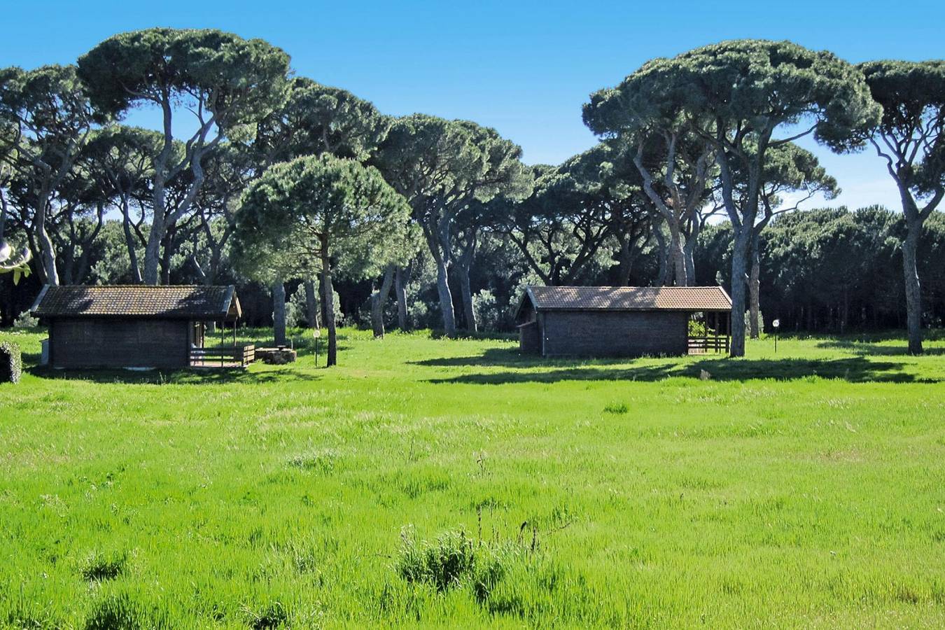 Ganze Wohnung, Wohnung nahe Grosseto-Strand und Pinienwald in Grosseto, Parco Naturale della Maremma