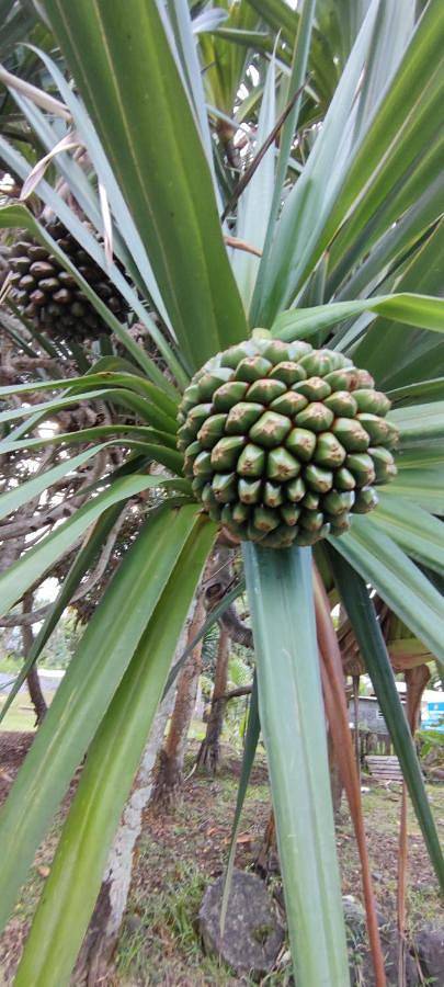 Appartement de vacances pour 4 personnes, avec vue et terrasse