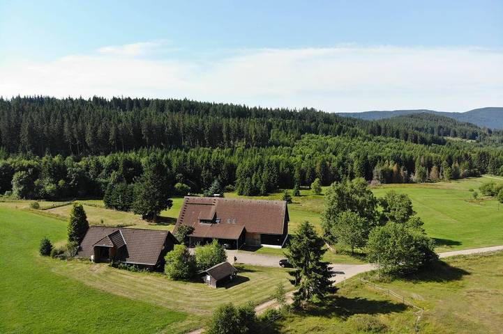 Villa für 12 Personen, mit Sauna und Whirlpool sowie Pool und Garten in Schluchsee - 4