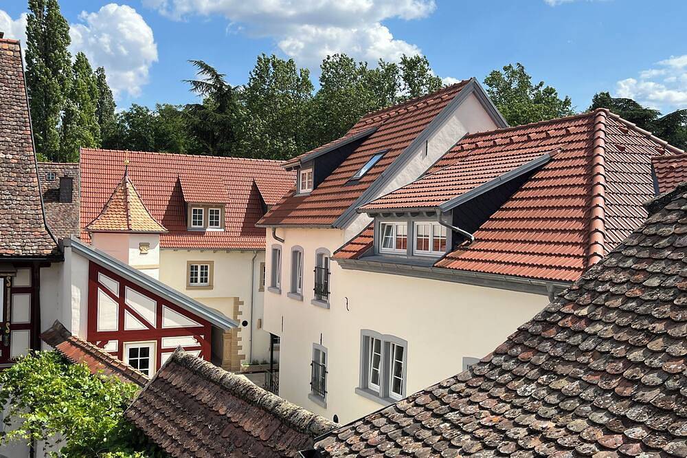Ganze Wohnung, Ferienwohnung \"Himmelreich\" im alten Weingut in Großkarlbach, Deutsche Weinstraße