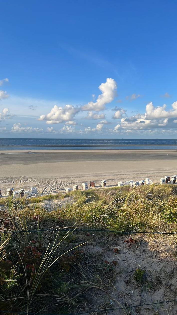 Ganze Wohnung, Charmantes Appartement für 4 Personen im Haus Seeschwalbe up de Dün am Tranpad 9 in Nordseebad Spiekeroog, Spiekeroog